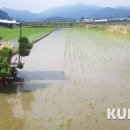 영우축산 이미지