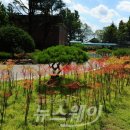 담양고서중학교 이미지