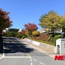 태백유도관 이미지