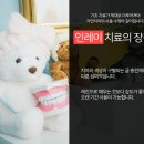 연세호치과의원 네이버블로그