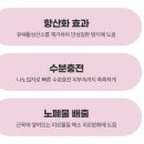 어머니 건강 위해 ‘바이온텍 텀블러형 수소수기’ 선물했어요.