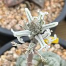 금보화세차장 이미지