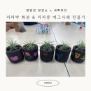 향기 나는 손길: 커피박 공예 | 영암군 보건소 커피박 화분, 커피콩 에그사쉐 만들기 ESG ESD