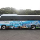 봄꽃힐링투어 이미지