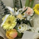 꼬모플레리 이미지