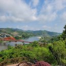 청벽거북 이미지