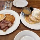 생오지마을 Garden of OZ | 2024.08.05-09 • 시드니 3일차