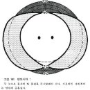 시야(Visual field) 이미지