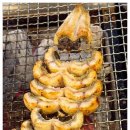 왔다강장어 이미지