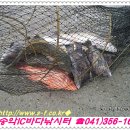 복운1리 이미지