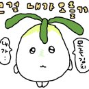 치유요가반 이미지