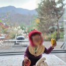 산내원림 | 경주 '산내원림' 가족여행: 역대급 푸장과 고요한 숲캉스를 즐길 수 있는 숙소