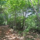 번영로217번길 이미지