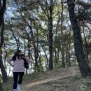 석적농협하나로마트 이미지