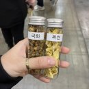 일산 킨텍스 메가쇼 2024 시즌 2 내맘대로 후기 + 내가 산 것들!