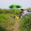 남한강낚시 이미지