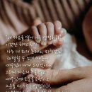 편안식당 네이버블로그