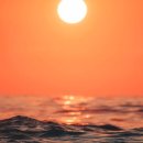 일출전자 이미지