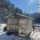 레드민박 | 평창 에어비엔비 웅이네민박🏠 후기(5인이용)