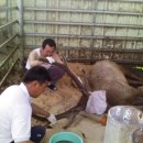 정규농장 이미지