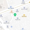 강남 요미독앤캣 강아지 분양 고양이 분양 이미지