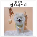 반야시스터 이미지