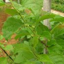 현제농장 이미지