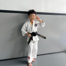 TH 용인대 유도장 이미지