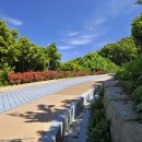 장사도해상공원 이미지