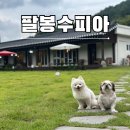 팔봉수피아 이미지