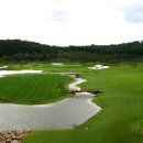 파인스톤컨트리클럽 이미지