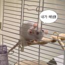 머리숨소리 미용실 이미지