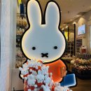 ['26.6.16.~21. ] 왔다! 빌뉴스!