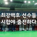 최강 백호 태권도장 이미지