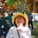 자연담은 하늘수 이미지