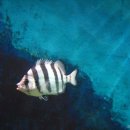 화진포해양박물관 이미지