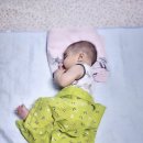 마치집인냥 이미지