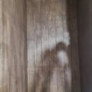 카페오일 이미지