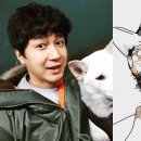 김화스포츠 이미지