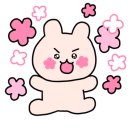 두리축산고기 이미지