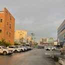 조치원농협하나로마트신흥점 | 강내농협하나로마트 청주 마트 케이크 추천: 14,000원짜리라는게 안 믿기는 맛! + 강내농협 꽃다발까지