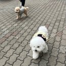 옐레드 동탄예당점 이미지