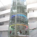 국립해양생물자원관 씨큐리움 이미지