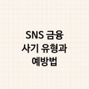 SNS 사기 나도 당할 수 있다? 개인 투자자를 노리는 다양한 SNS 금융 사기 유형과 예방법