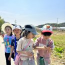 천생연분 이미지