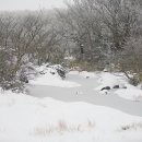 로메르 | <겨울 이야기> 후기: 에릭 로메르의 육하원칙