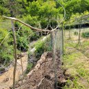 한실농장 이미지