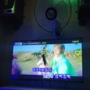 관저장패