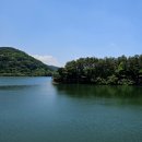 고복자연공원 수변 길 | 세종 자연공원 고복저수지 수변산책로 둘레길 카페