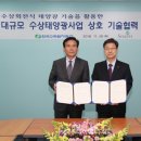 솔키스